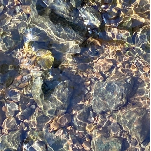 Riverbed Flow - Sterling Silver Ring - Image 6